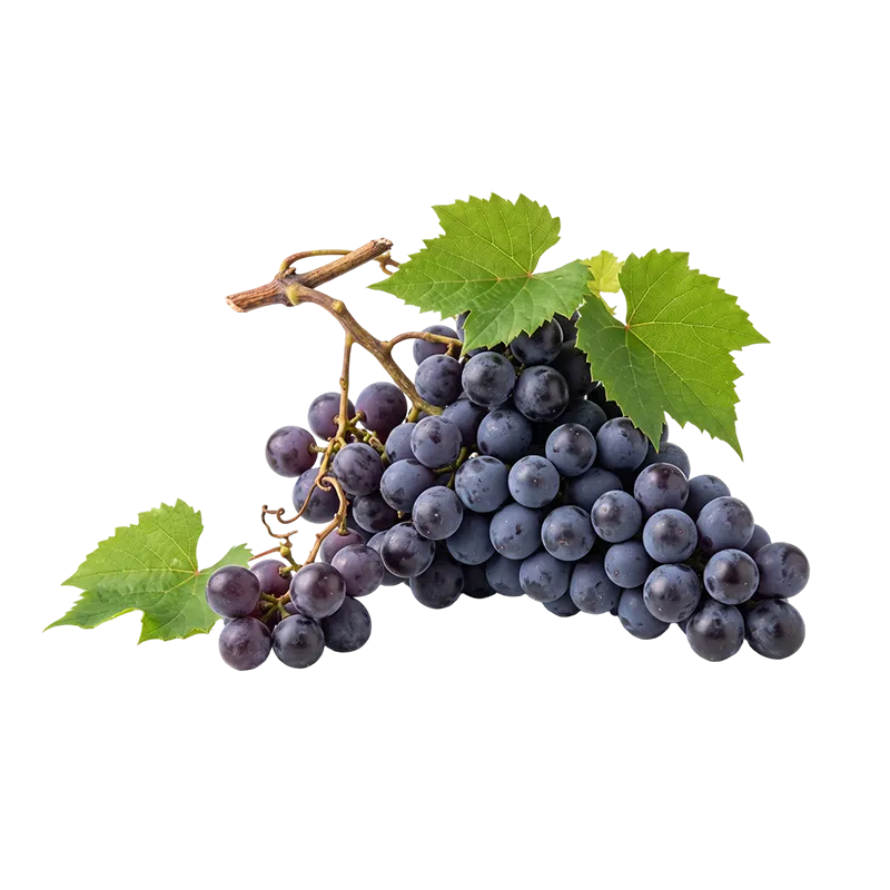 Grapes